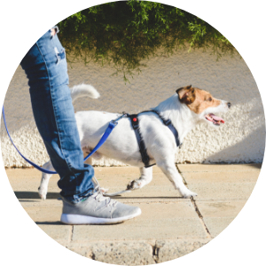 通いやすい立地